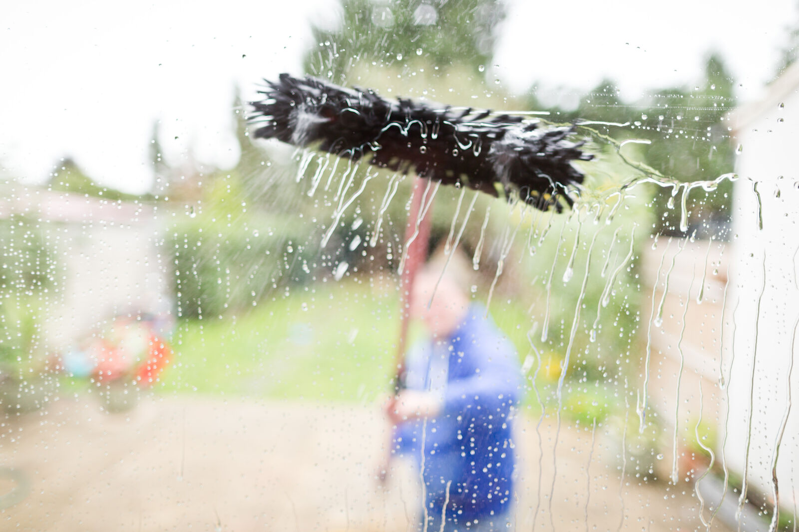 Professional window cleaning